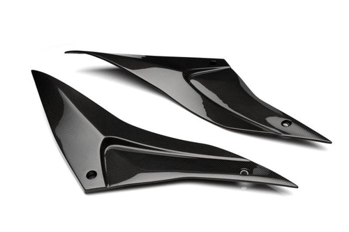 CARBON2RACE APRILIA TUONO V4 2021-2024 CARBON FIBER SIDE TANK PANELS